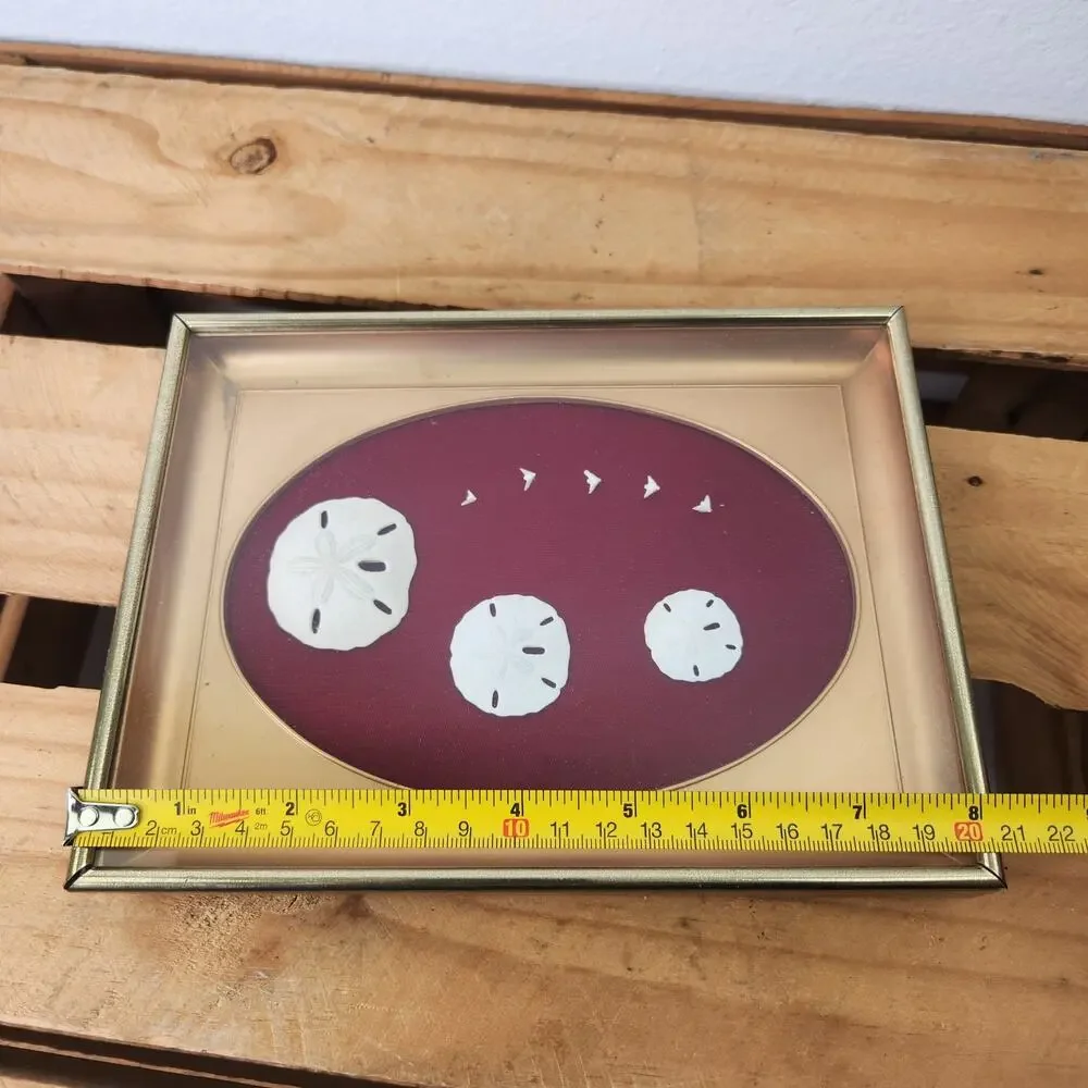 Sand Dollar & Seagull In Gold Tone Shadow box Frame Wall Decor Coastal Beach